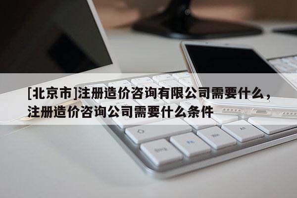 [北京市]注册造价咨询有限公司需要什么，注册造价咨询公司需要什么条件