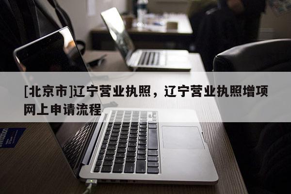 [北京市]辽宁营业执照，辽宁营业执照增项网上申请流程