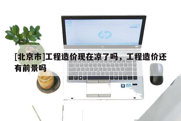 [北京市]工程造价现在凉了吗，工程造价还有前景吗