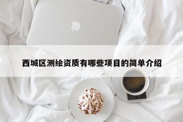 西城区测绘资质有哪些项目的简单介绍