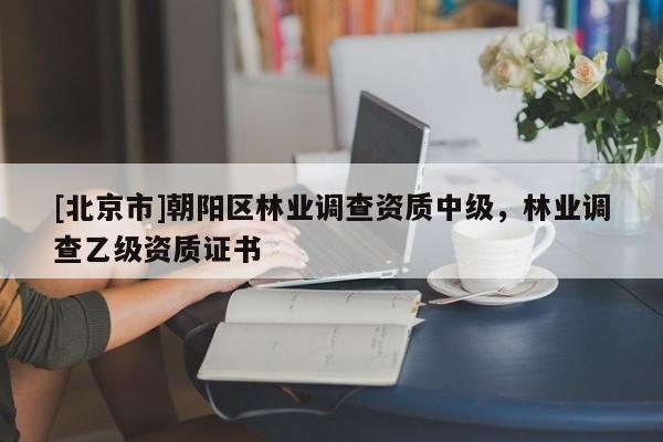 [北京市]朝阳区林业调查资质中级，林业调查乙级资质证书