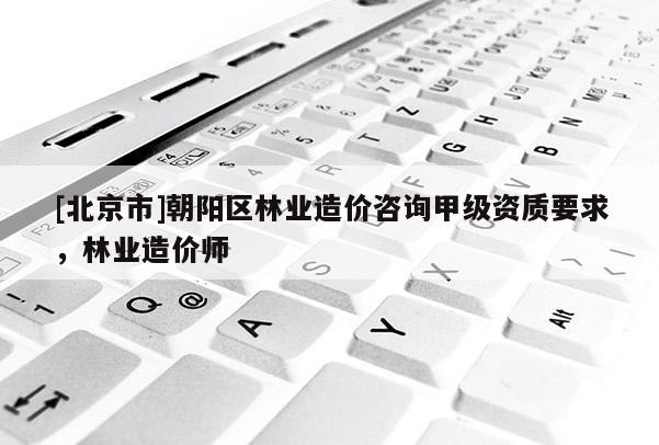 [北京市]朝阳区林业造价咨询甲级资质要求，林业造价师