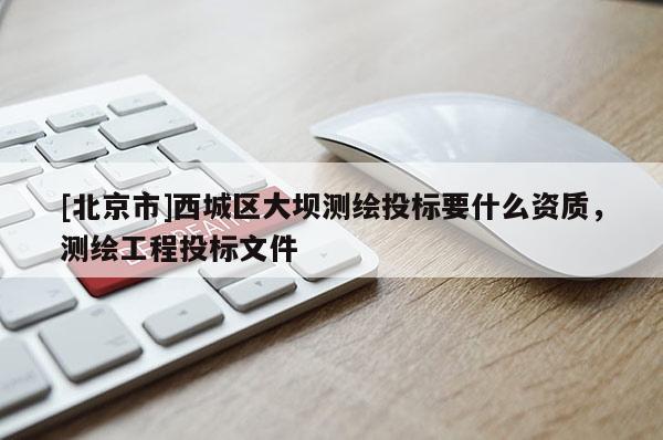 [北京市]西城区大坝测绘投标要什么资质，测绘工程投标文件