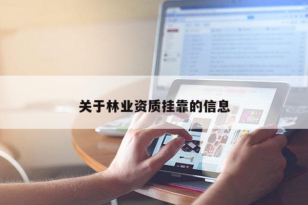 关于林业资质挂靠的信息