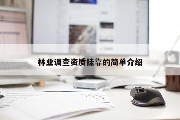 林业调查资质挂靠的简单介绍