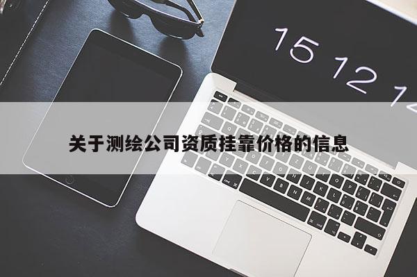 关于测绘公司资质挂靠价格的信息