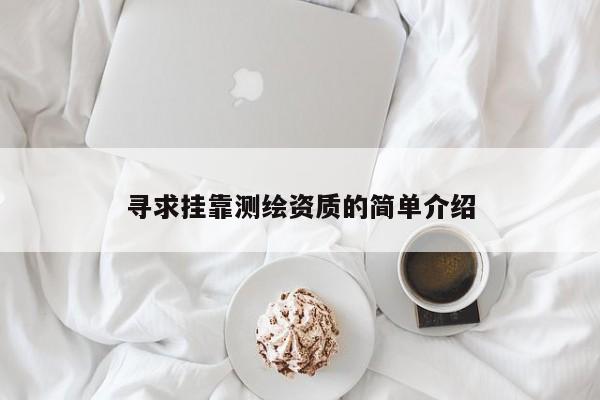 寻求挂靠测绘资质的简单介绍