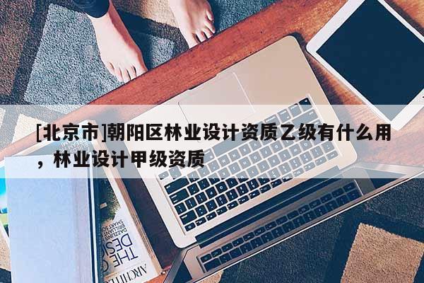 [北京市]朝阳区林业设计资质乙级有什么用，林业设计甲级资质