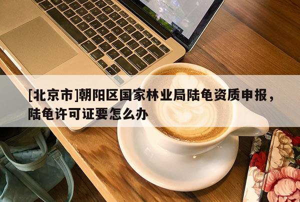 [北京市]朝阳区国家林业局陆龟资质申报，陆龟许可证要怎么办